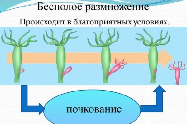 Kraken darknet ссылка тор