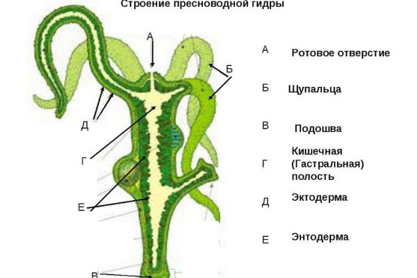 Vk kraken